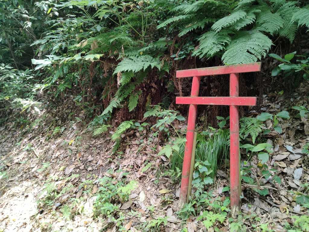 Little Japanese torii gate.